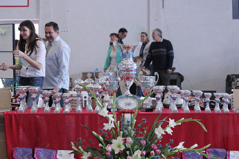 WAFDAL Show Prague 2015
