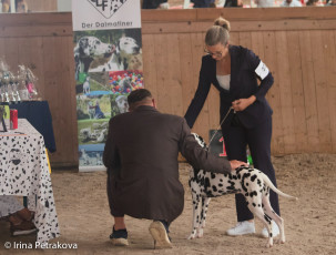Puppy Class – California Centouno Fata