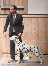 Champion Class – Lucky You Di Ca’ Gilardoni