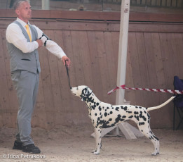 Champion Class – Yade Autumn’s Soulmate v. Stella Matutina