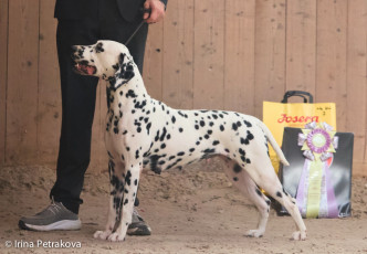 Champion Class – Olympia di Ca’ Gilardoni