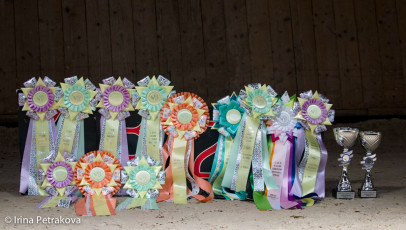 talian trophies