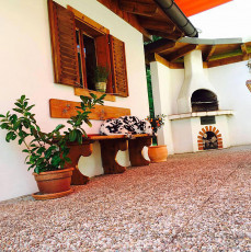 A Life with Dalmatians