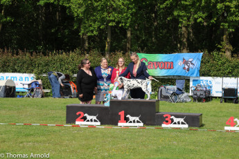 WAFDAL Event 2023 in Nieuwegein (NL)