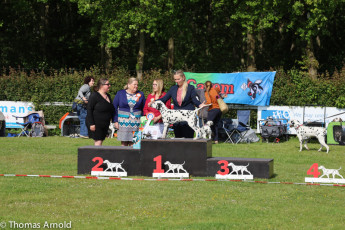 WAFDAL Event 2023 in Nieuwegein (NL)