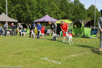 WAFDAL Event 2023 in Nieuwegein (NL)