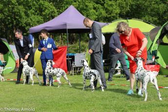 WAFDAL Event 2023 in Nieuwegein (NL)