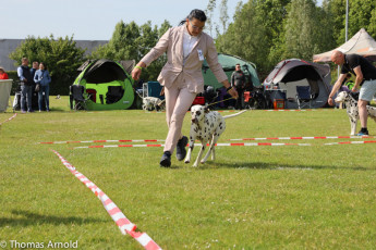 WAFDAL Event 2023 in Nieuwegein (NL)