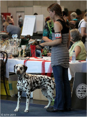 WAFDAL Show 2011