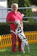 WAFDAL Show 2019 Bratislava For those who couldn't be there... pictures from the Wafdal Show 2019
(C) Andrea Theuerkauf-Höppner