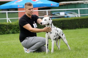 WAFDAL Show 2019 Bratislava For those who couldn't be there... pictures from the Wafdal Show 2019
(C) Andrea Theuerkauf-Höppner