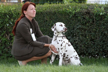 WAFDAL Show 2019 Bratislava For those who couldn't be there... pictures from the Wafdal Show 2019
(C) Andrea Theuerkauf-Höppner