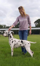 WAFDAL Show 2019 Bratislava For those who couldn't be there... pictures from the Wafdal Show 2019
(C) Andrea Theuerkauf-Höppner