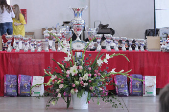 WAFDAL Show Prague 2015