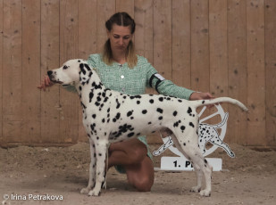 Veteran Class – Alvin v. Chirlitz