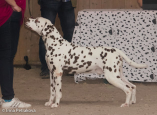 Veteran Class – Namara’s Red Sky At Night