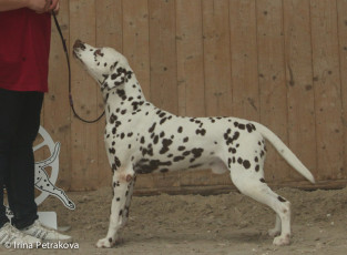 Veteran Class – Namara’s Red Sky At Night