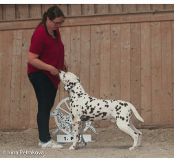 Veteran Class – Namara’s Red Sky At Night