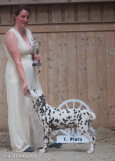 Baby class – Palimpalis Chayton