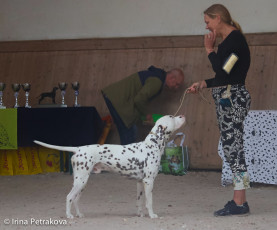 Junior Class – Beech Lane Rocca Al Mare De Cataluna