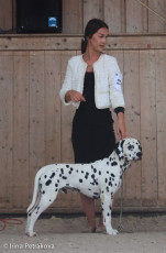 Junior Class – Olrif Sugar Man