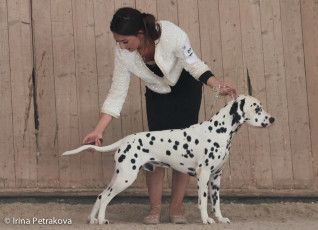 Junior Class – Olrif Sugar Man