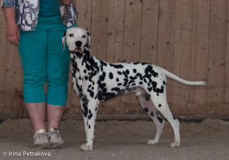 Champion Class – Ethnara’s Chronos Typhoon