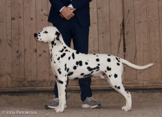 Champion Class – Lucky You Di Ca’ Gilardoni