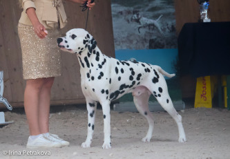 Open Class – Mediolanum Young Leon