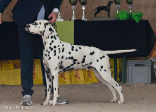 Open Class – O’Pazz Di Ca’ Gilardoni