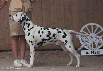 Open Class – Mediolanum Young Leon