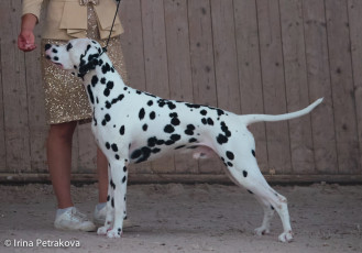 Open Class – Mediolanum Young Leon