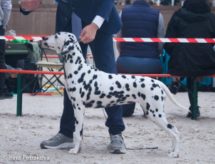 Junior Class Special K Di Ca’ Gilardoni