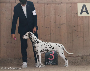 Intermedia class – Alessandra Baltic Nation