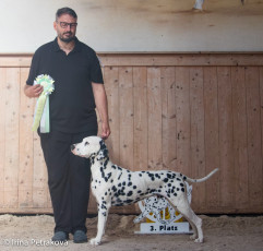 Champion Class – Gloriandus Ulysse Nardin