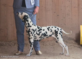 Champion Class – One And Only s Nevskih Ostrovov