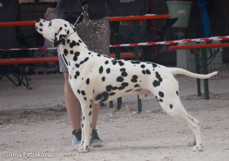 Open Class – Mediolanum Young Leon