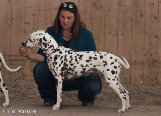 Open class - Bacardi Feeling Albert Viva Oesella