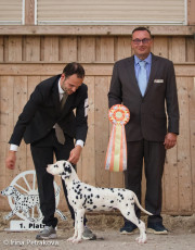 best baby Baby class – Unbreakable Di Ca’ Gilardoni