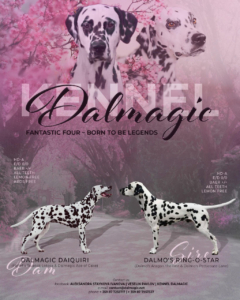 Dalmagic